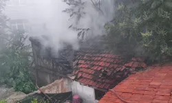 Evin Eklentisi Alevlere Teslim Oldu