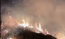 Kent Ormanı Yangınında Havai Fişek İddiası