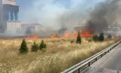 Afyon'da Anız Yangını Ulaşımı Aksattı