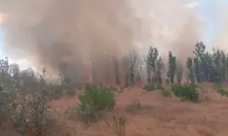 Afyon'da Sıcak Saatler! Kavaklık Alanda Yangın Çıktı