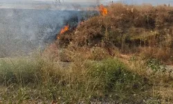 Şuhut'ta Anız Yangını Paniğe Neden Oldu