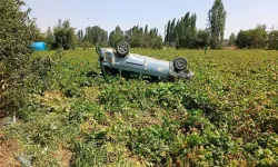 Virajı Alamayan Otomobil Tarlaya Uçtu: 1 Yaralı