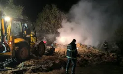 Afyon'da Besihanede Feci Yangın: 6 Büyükbaş Telef Oldu