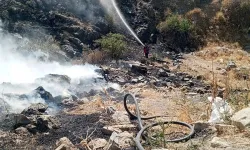 Afyonkarahisar'da Otluk Alanda Yangın Paniği!